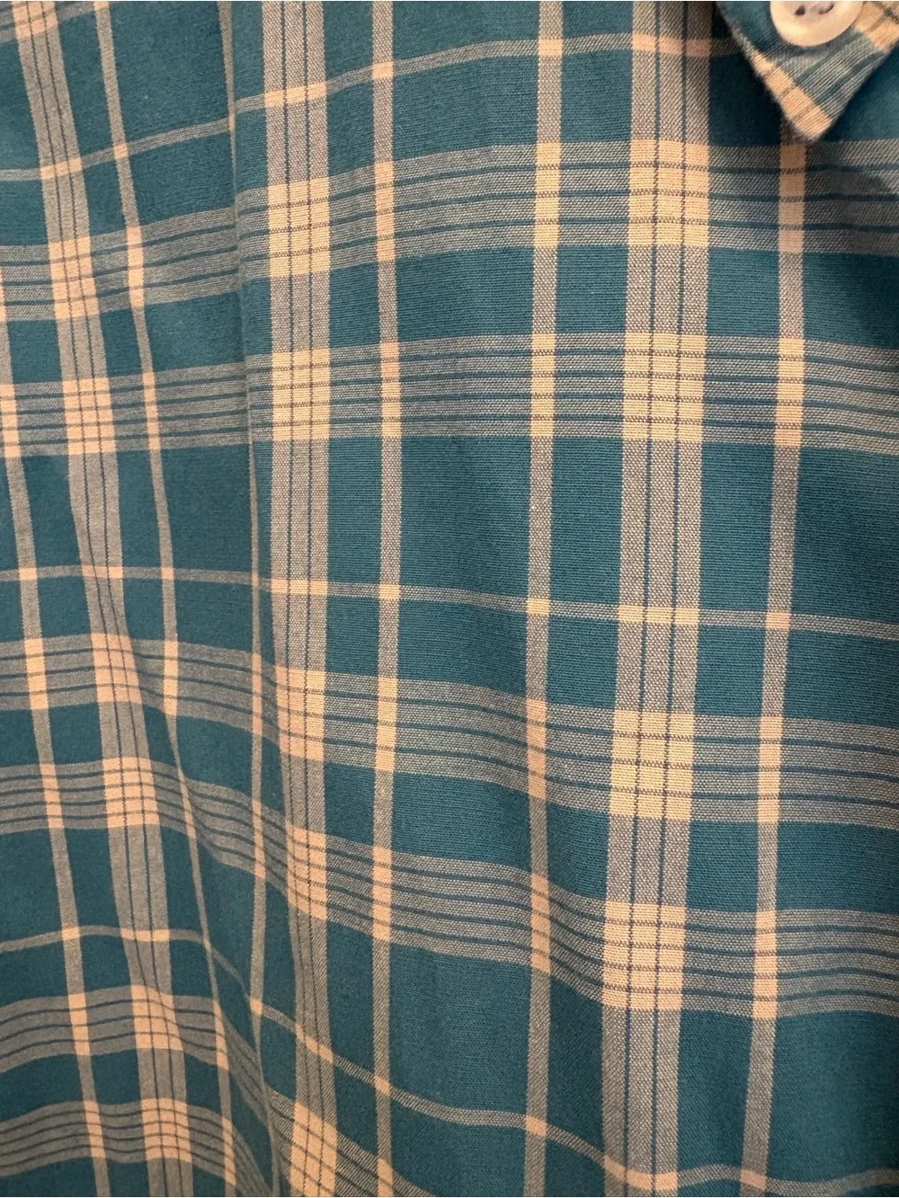 J. Crew Teal and White Plaid Button-Down Shirt